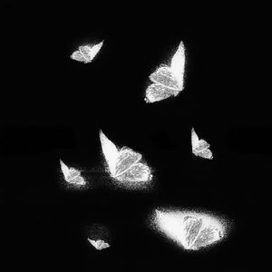 打美女屁股㊙️无遮挡
