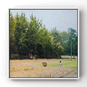 打美女屁股㊙️无遮挡
