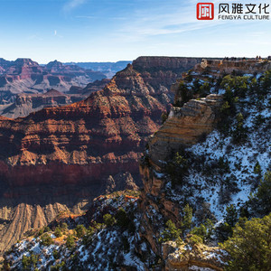 打美女屁股㊙️无遮挡
